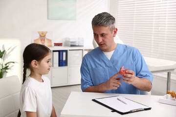 Obraz premium Endocrinologist showing model of thyroid gland to his little patient at white desk in clinic