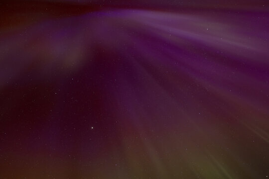 The aurora borealis purple and green sky at night