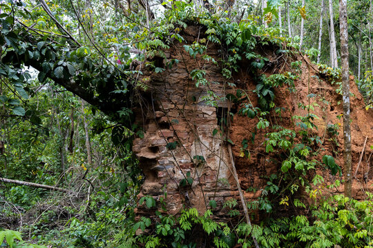 Mountaineering in Venezuela. Ruins of old colonial-era haciendas. Spring hiking through the mountains and forests of the Caribbean. The Founding Mothers Trail in Guatire, Miranda State