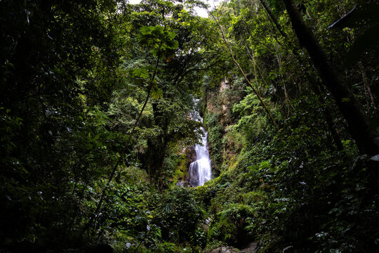 Pristine Tropical Waterfall Cascada Norte in Waraira Repano National Park. Hidden gem along the Rio Norte river in the lush mountains of Guatire, Miranda, Venezuela