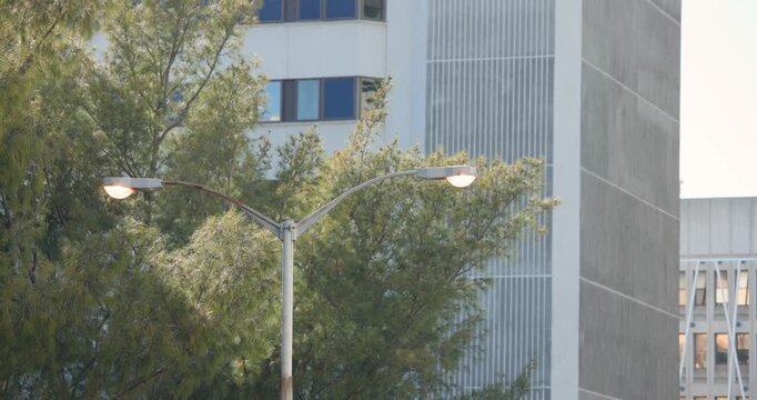 Twin-arm lamp is glowing as trees are swaying in breeze, passing vehicle is briefly occluding base