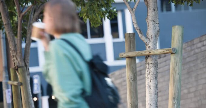 Tree with wooden stakes on sidewalk while people entering from left carrying coffee cups commuting