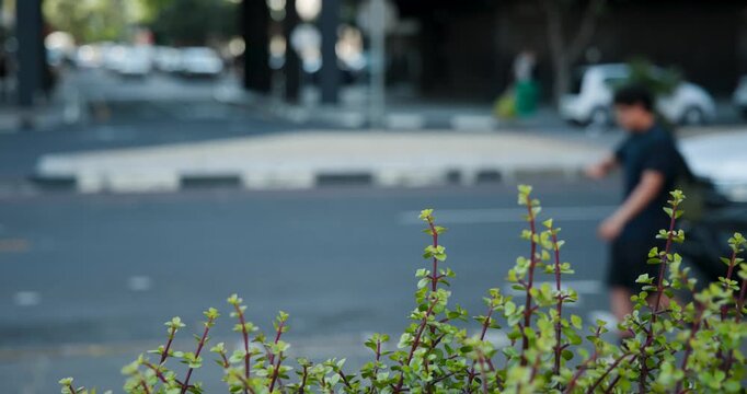 Front shrub staying focused during rush, commuters walking past curb using phones blue car passing