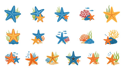 Collection of starfish and sea creatures.