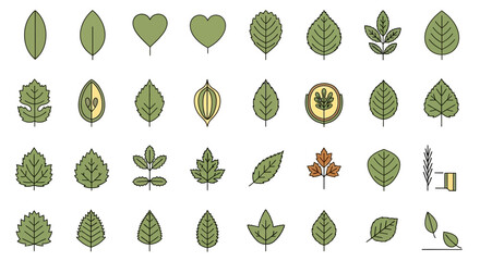 Collection of various green leaf shapes. © MUHRODIN