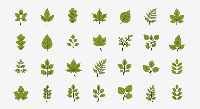 Collection of various green leaf shapes.