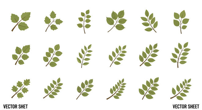 Collection of various green leaf shapes.