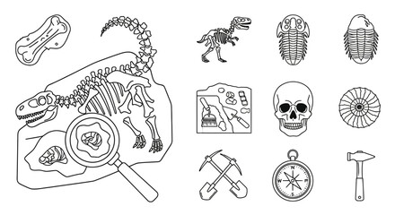 Dinosaur Fossil Skeleton Bones Drawing. © amni