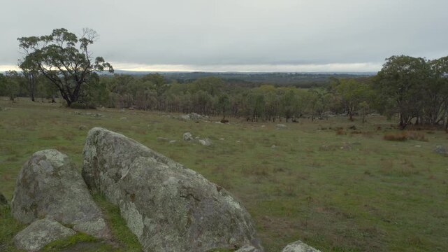 Green Fields And Trees At Rifle Range Lookout In Bethany, Australia - Wide Shot