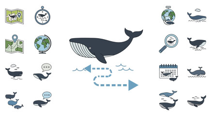 Large whale in the ocean water. © gundul