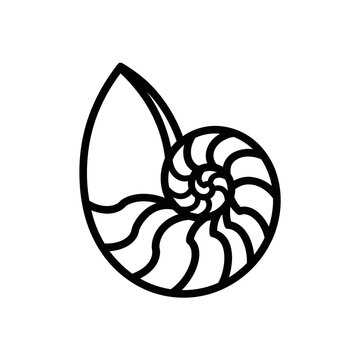 Black line art nautilus shell drawing.