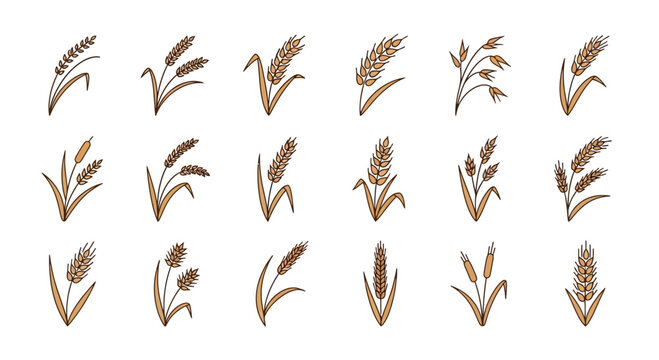 Wheat and grain icons set for agriculture and harvest design elements