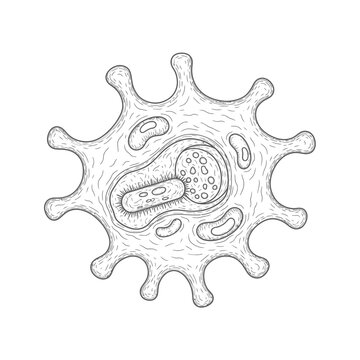 Detailed hand-drawn illustration of a stylized microorganism or virus structure in black and white sketch style.