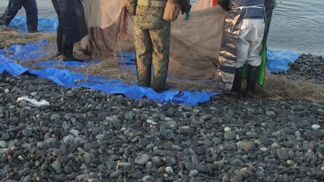 海岸から網を引く漁師