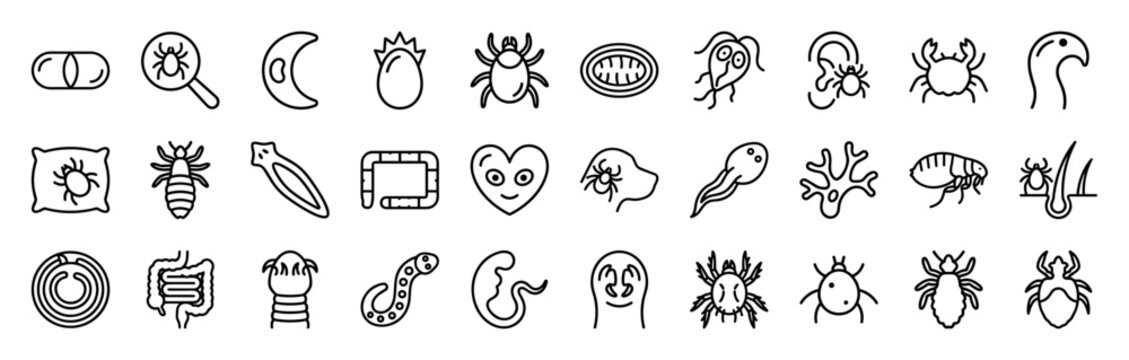 Microscopic Parasite and Veterinary Biology Monoline Icons: Minimalist Geometric Line Art for Science and Pet Health Research Applications