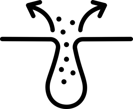 Osmosis Process Diagram Illustration.