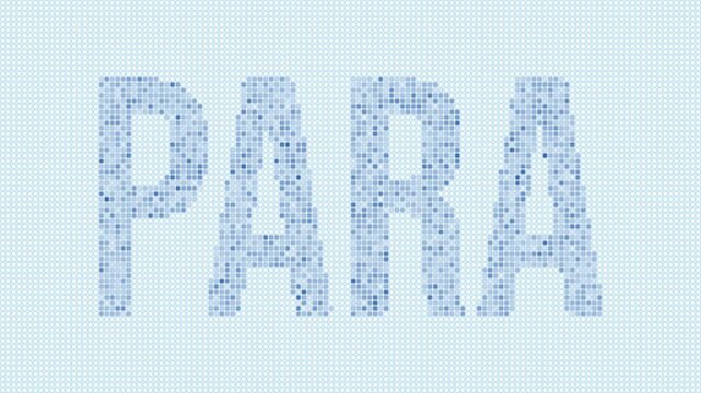 Para, Brazil dotted map animation. Digital style shape of the state. Para, Brazil shape and title dots appear with bulb flickering effect. Intro, outro, logo, title video.