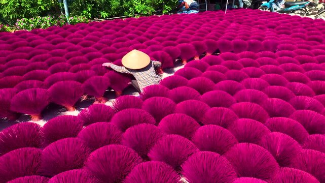 Vibrant Red Incense Sticks Arranged in Circular Patterns Drying in Quang Phu Cau Village Vietnam