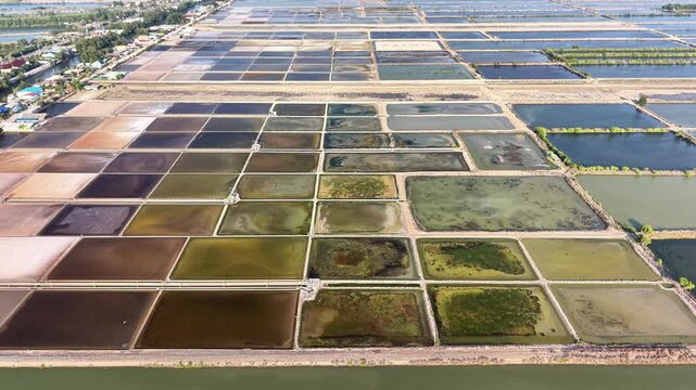 4K aerial drone footage of salt evaporation ponds forming geometric patterns. Colorful coastal industry landscape in Thailand with structured layout and natural textures.