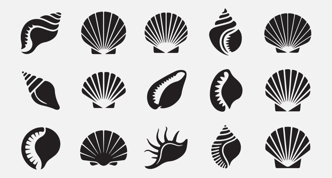  Collection of various seashells and marine shells illustrations