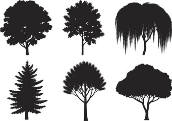 Tree silhouette vector set, black icons of oak, pine, and willow for nature and landscape design © Sume