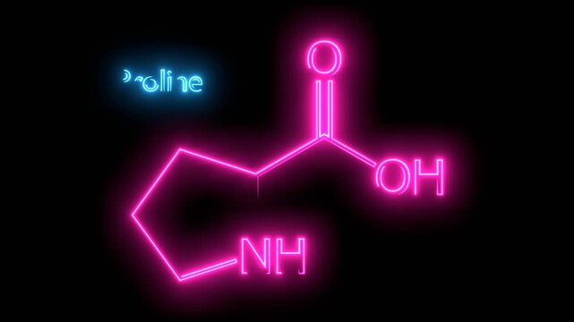 Proline is a cyclic, nonessential amino acid in humans. Chemical structure model. Medical and scientific concepts.
