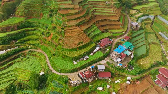 Layered rice terraces, rural village along Halsema Highway Benguet Philippines