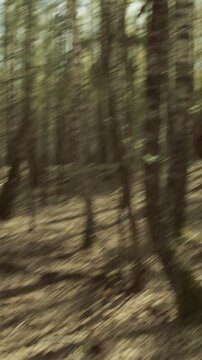 Running For Group Of Soldiers With Carabines Mauser 98k, Sub-machine Gun In Forest. Reenactors Dressed As German Infantry Soldiers Make War Ambush In Autumn Forest. Wermacht Military Uniform