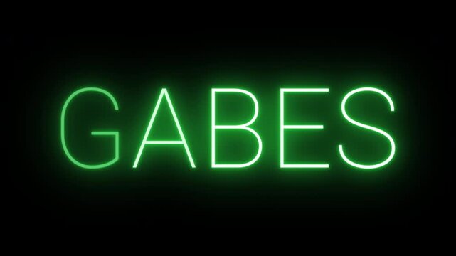 Flickering neon green glowing gabes sign animated on black background.