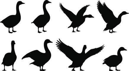 Fototapeta premium Black silhouettes of various birds perched on a branch against a white background