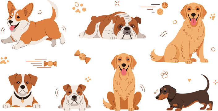 Cute dog breeds cartoon set with playful puppies, corgi bulldog dachshund golden retriever characters, adorable pet collection vector illustration isolated on background