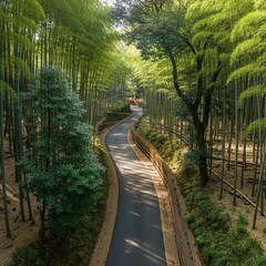 Fototapeta premium Serene Bamboo Forest Pathway Leading Through Verdant Nature