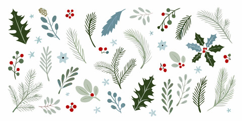Assorted winter botanical illustrations with sprigs leaves and berries © RanjanKumar
