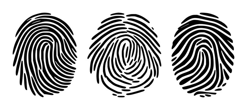 Fingerprint set with a thick, smooth black line design forming a perfect circle on pure white background featuring fingerprint, black, circular with clinical and forensic