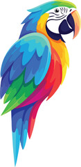 Obraz premium Colorful macaw parrot vector set with standing and flying poses tropical exotic bird illustrations