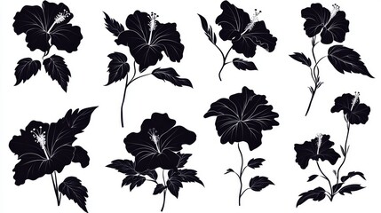 Fototapeta premium 65.Collection of hibiscus silhouettes in various blooming stages, clean solid shapes, smooth contours, tropical vibe, perfectly spaced vector icons ideal for decorative summer themes.