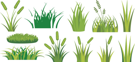 Obraz premium Vibrant green grass blades and clover leaves in a natural garden setting