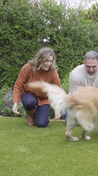 Vertical video: Woman calling dog over and partner handing tennis ball in backyard, playing fetch