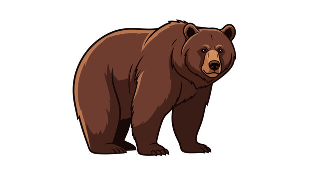 Brown bear standing on ground looking.