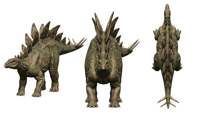 Kentrosaurus dinosaur 3D model set with side, front, and top perspective views isolated on white background.