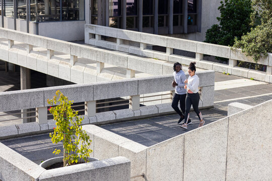 Diverse friends walking on concrete path in activewear by planter, office windows, copy space