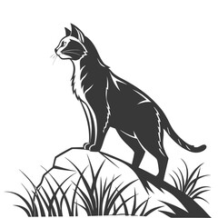 A black cat standing on a rock looking ahead © Adori