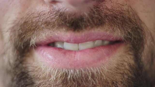 Mouth, smile and beard with closeup for growth, texture and moustache for grooming routine. Man, person and lips with teeth, goatee or happy for facial hair development, testosterone and pride
