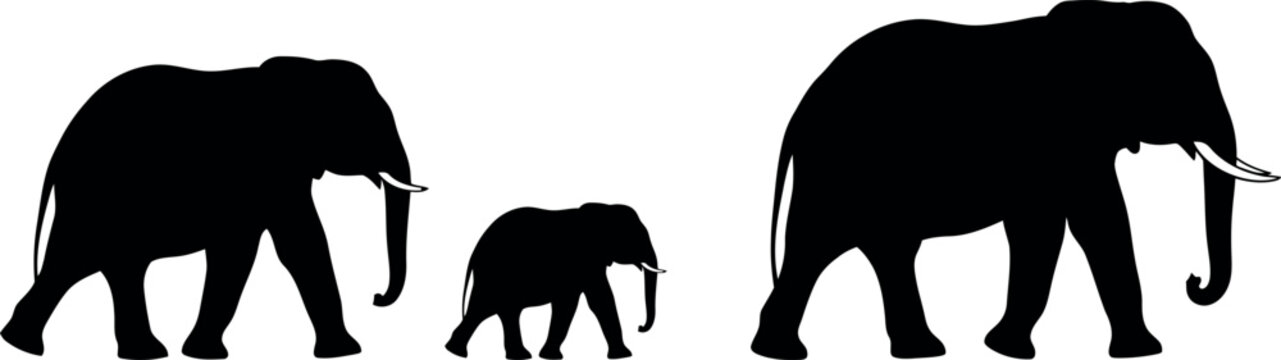 Silhouette of an elephant family walking together in profile