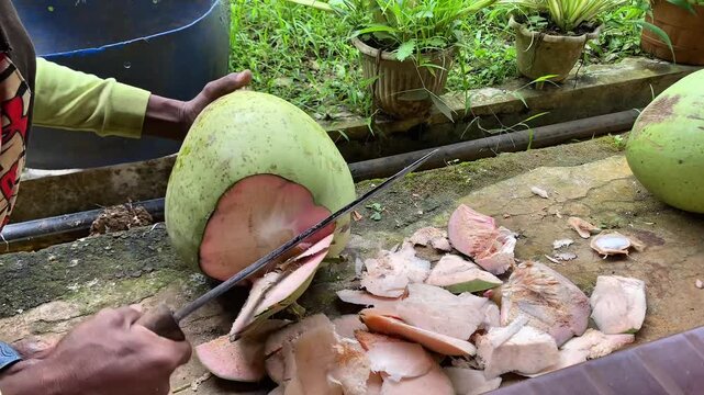 tropical, coconut, fruit, food, fresh, background, exotic, white, natural, healthy, coco, nut, organic, diet, nature, vegetarian, brown, half, isolated, cut, nutrition, ingredient, summer, milk, shell
