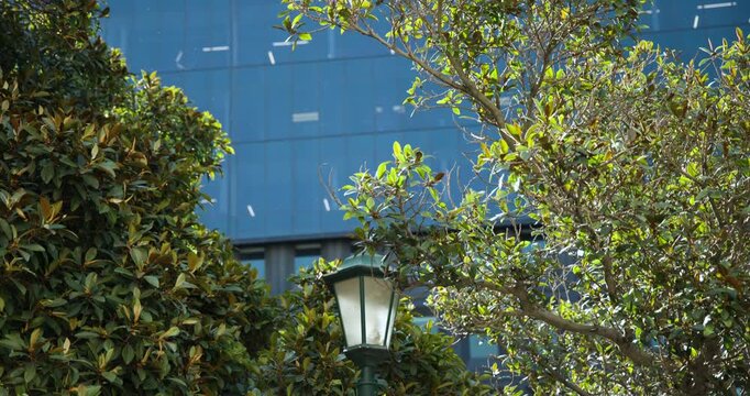 Light breeze is drifting white fragments as camera is descending to center lamp by blue facade