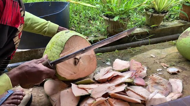 tropical, coconut, fruit, food, fresh, background, exotic, white, natural, healthy, coco, nut, organic, diet, nature, vegetarian, brown, half, isolated, cut, nutrition, ingredient, summer, milk, shell