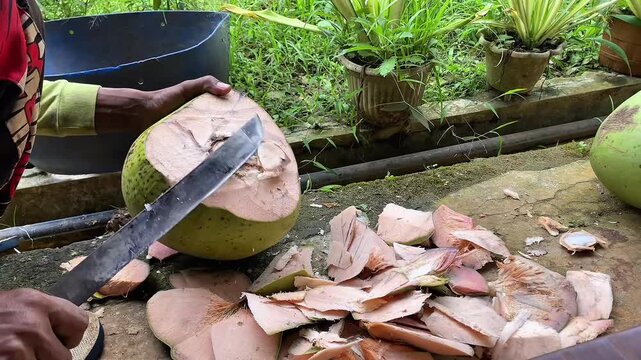 tropical, coconut, fruit, food, fresh, background, exotic, white, natural, healthy, coco, nut, organic, diet, nature, vegetarian, brown, half, isolated, cut, nutrition, ingredient, summer, milk, shell