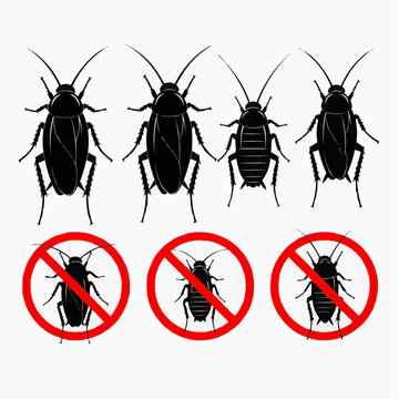 Vector set of diverse common cockroach types, including explicit prohibition signs, for vital pest control and efficient eradication strategies