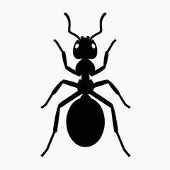 Obraz premium Stylized black silhouette of an ant, a common insect symbolizing diligence and community, often associated with nature and tiny creatures, depicted in a clean, graphic style